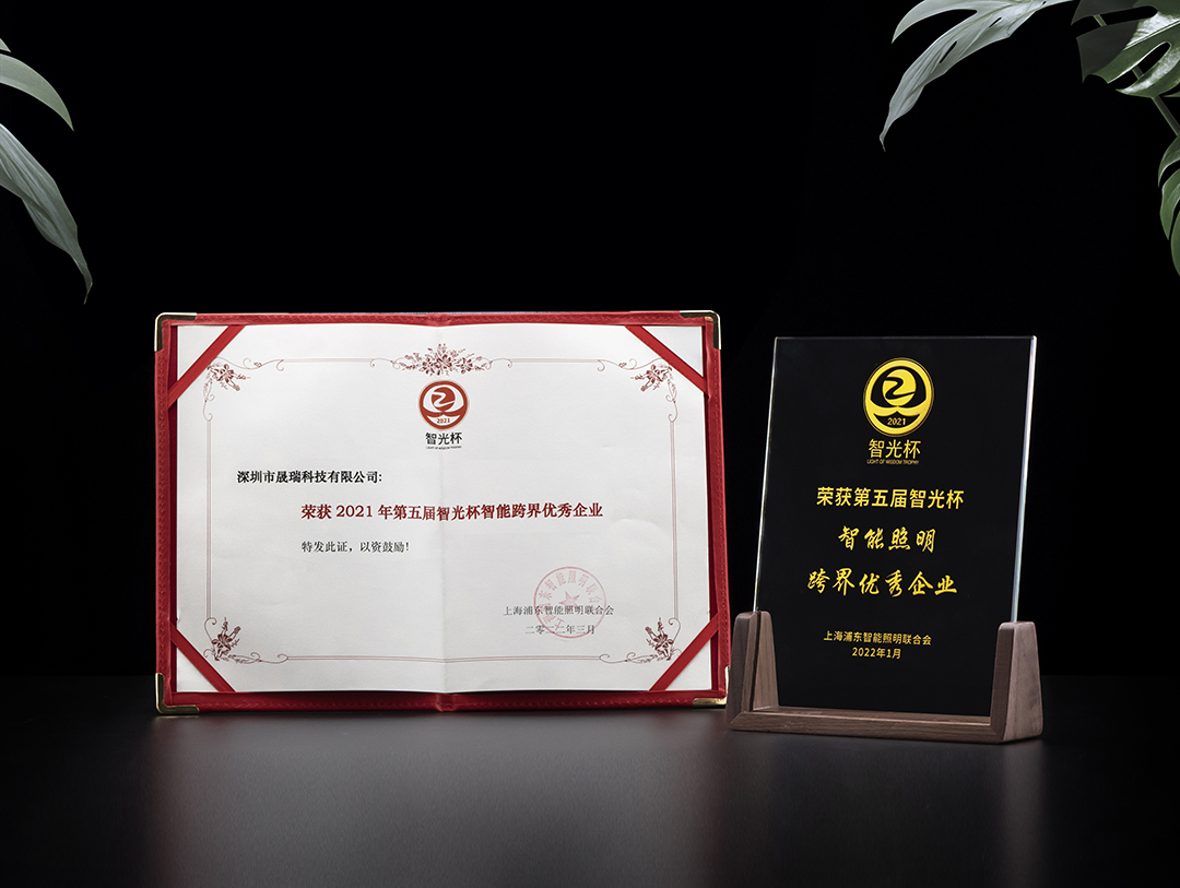 2 第五屆“智光杯”智能照明跨界優秀企業1080.jpg